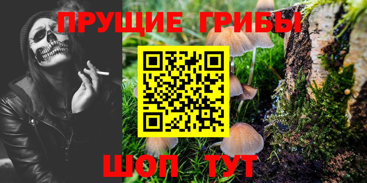 Галлюциногенные грибы Psilocybine cubensis Павловский Посад