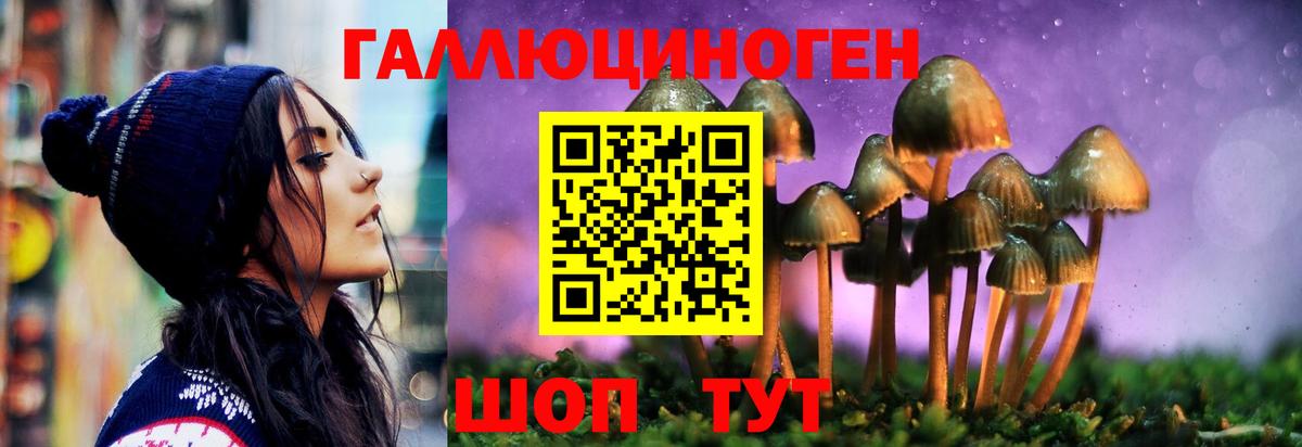 где продают наркотики  Вход с VPN  Павловский Посад  Галлюциногенные грибы ЛСД 